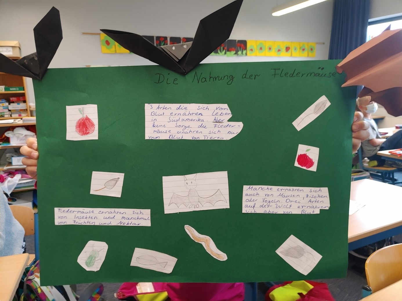 Foto Fledermausplakat